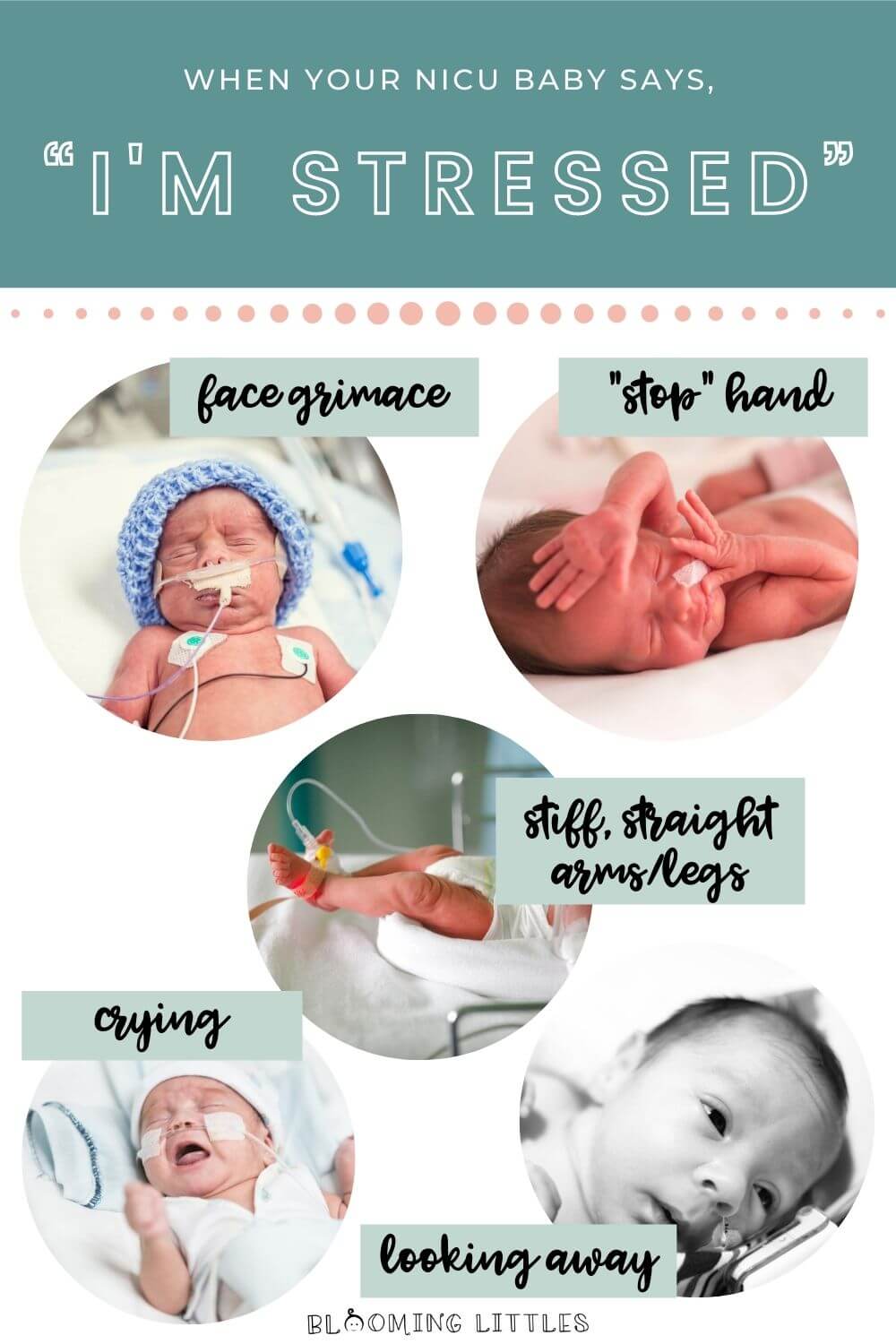 LEARN HOW YOUR NICU BABY COMMUNICATES: THE NICU MOM’S GUIDE! | Blooming ...